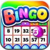 Bingo app icon
